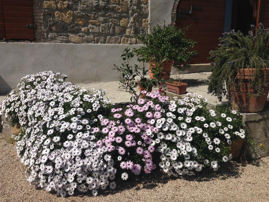 Locanda Villa Naumanni Tarquinia Buitenkant foto