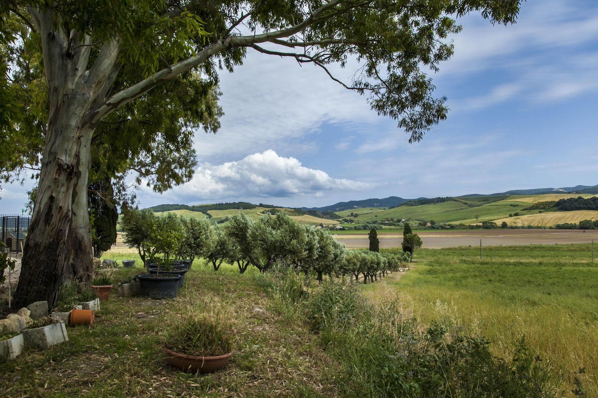 Locanda Villa Naumanni Tarquinia Buitenkant foto